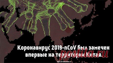 Какие вирусы бывают и как лечить вирусные заболевания?
Например, при заражении коронавирусом, более 80 % всех зараженных имеют возраст старше 46 лет, а вот дети прекрасно переносят инфекцию под видом вирусной пневмонии.