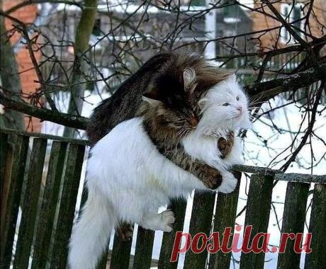 (2) Facebook