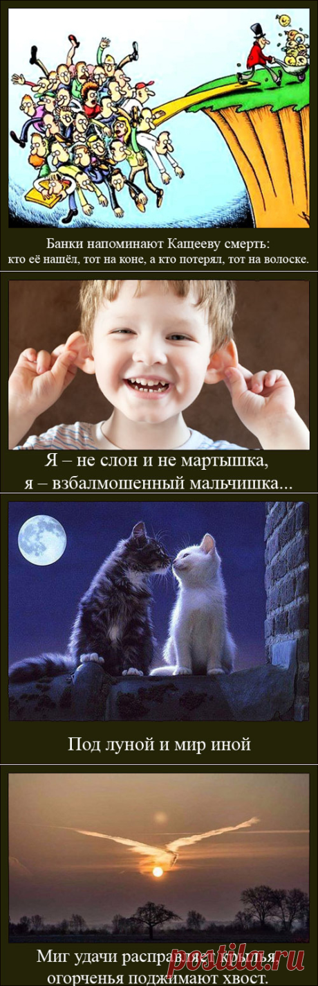 Первое слово дороже второго - это несколько забавных демотиваторов и новые юмористические фразы Александра Крутоуса: