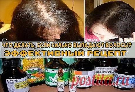 ЖИЗНЬ » В сети – себя просвети!