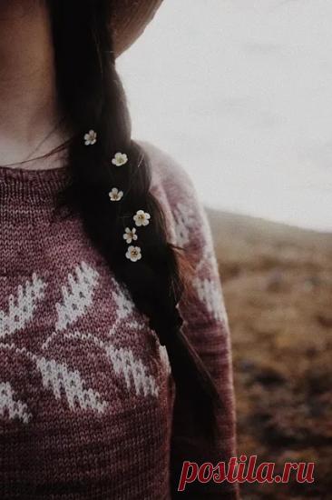 Пост на стене #вязание #спицы #джемпер #круглая_кокетка #жаккард