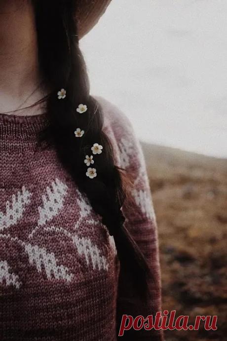 Пост на стене #вязание #спицы #джемпер #круглая_кокетка #жаккард
