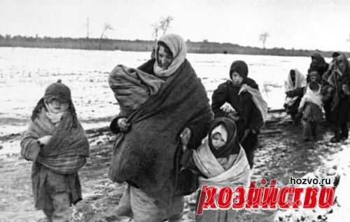 Вещие сны моей мамы помогли нам выжить в войну