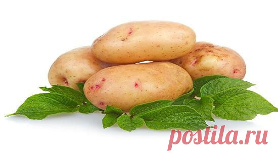 КАРТОШКА: ФОКУСЫ ВКУСА | Самоцветик