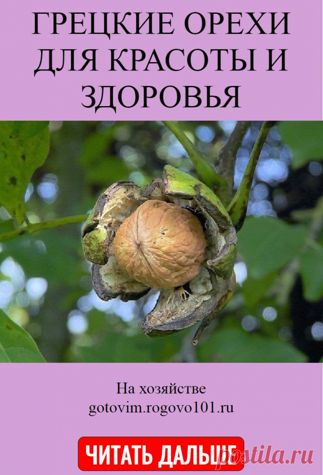 ГРЕЦКИЕ ОРЕХИ ДЛЯ КРАСОТЫ И ЗДОРОВЬЯ