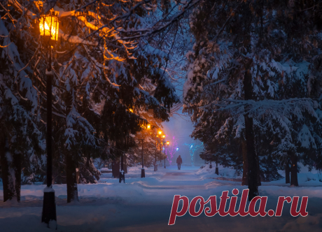 Фёдор Лашков / Портфолио фотографа