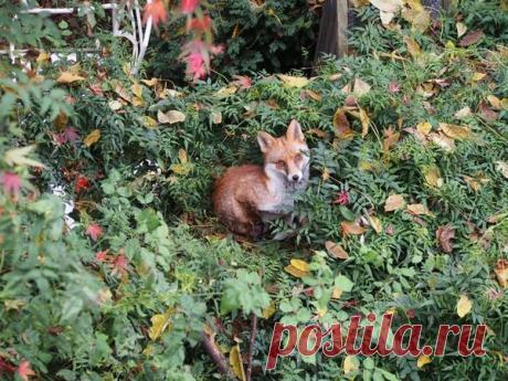 Самая самая...планета Земля