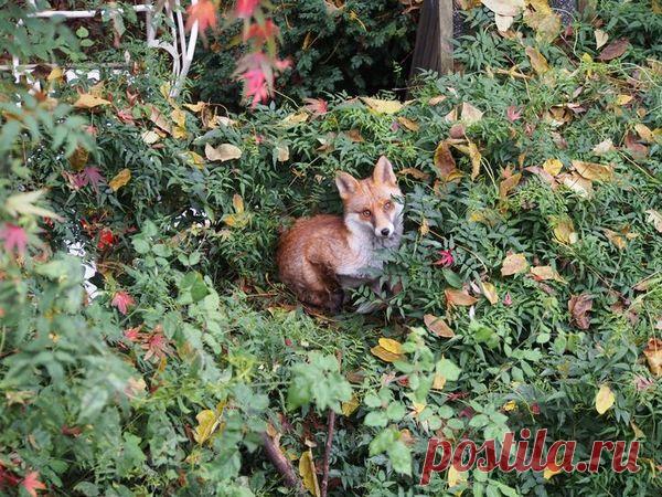 Самая самая...планета Земля