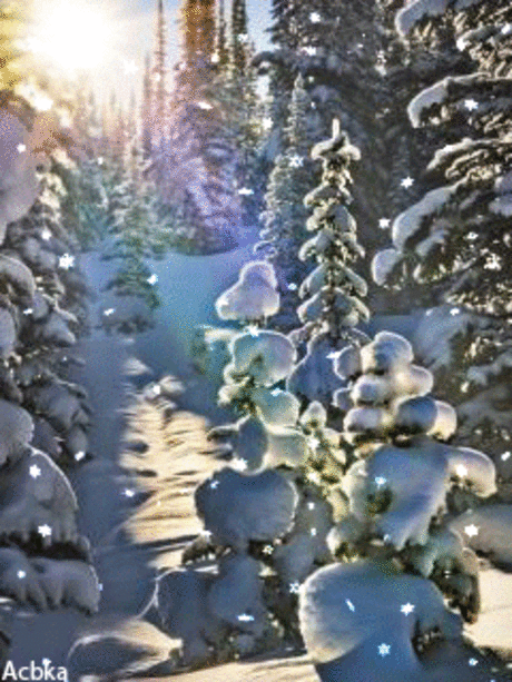 1098276.gif (240×320)