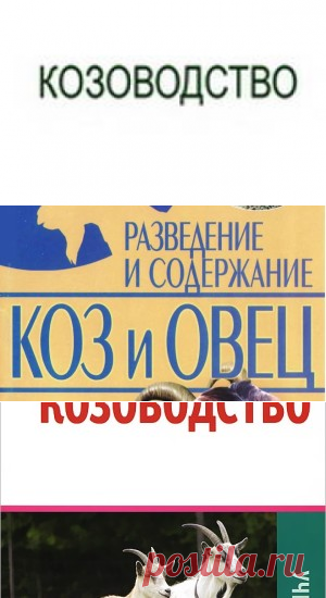 Ерохин А.И. Козоводство