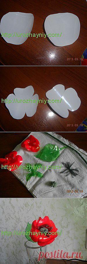 Мак из пластиковой бутылки. Автор Надежда Шурыгина. | Урожайная дача