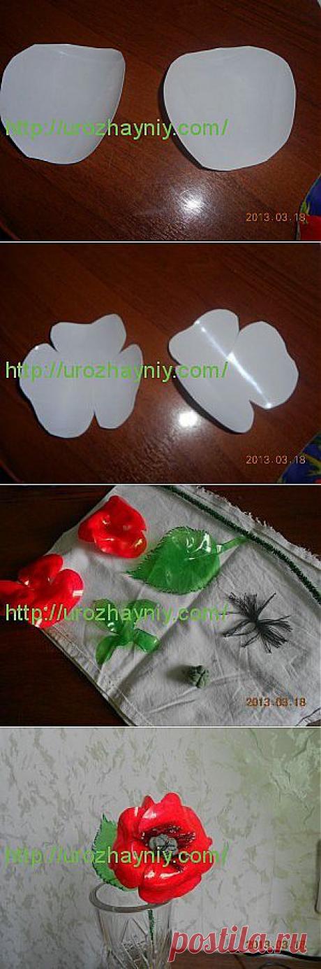 Мак из пластиковой бутылки. Автор Надежда Шурыгина. | Урожайная дача