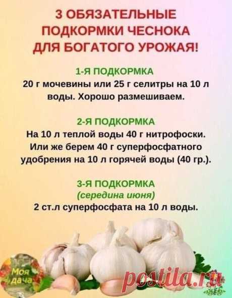 Моя дача