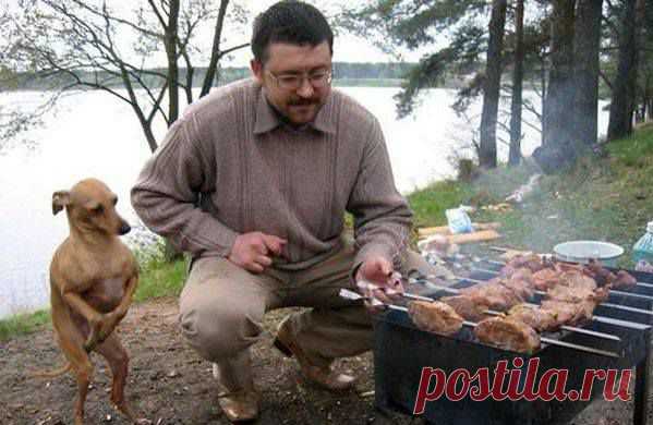 Страницы