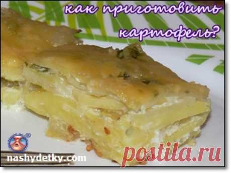Как вкусно приготовить картофель в духовке?
Надоели традиционные гарниры? Что приготовить из картофеля вкусно? Картофельная запеканка с сыром в духовке - рецепт и процесс приготовления: https://nashydetky.com/pitanie/kak-vkusno-prigotovit-kartofel