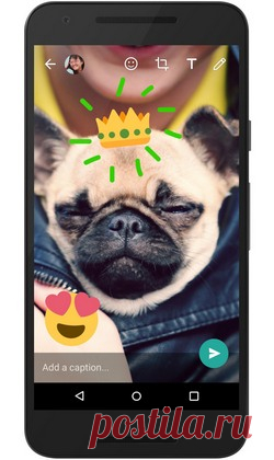Обновлённый WhatsApp: фотофильтры, фронтальная вспышка и масштабирование - Лайфхакер