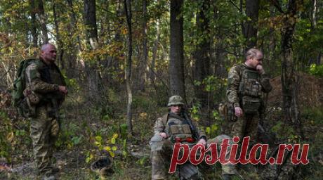 Развожаев: ВСУ атаковали Севастополь БПЛА с металлическими шариками. Вооружённые силы Украины атаковали Севастополь беспилотниками с металлическими шариками, сообщил губернатор города Михаил Развожаев. Читать далее
