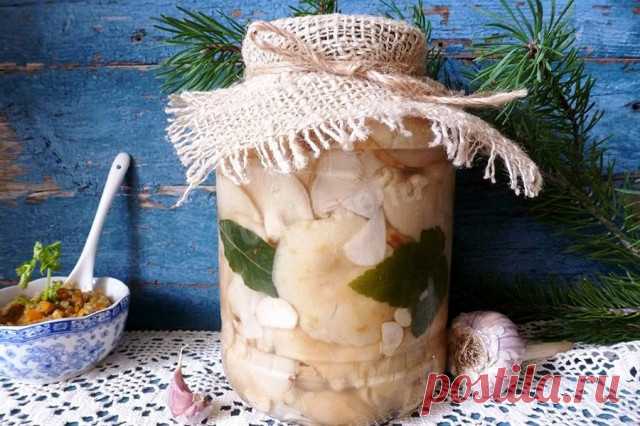 Засолка груздей холодным способом рецепт с фото - 1000.menu