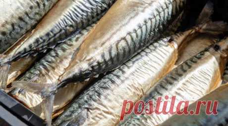 Фантастическая скумбрия в маринаде за 24 часа и другие секреты шеф-повара