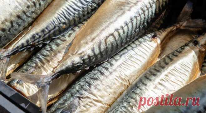 Фантастическая скумбрия в маринаде за 24 часа и другие секреты шеф-повара