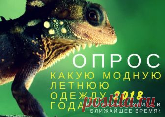 Привет всем! 
Уважаемые участники группы Вконтакте магазинов женской одежды 
