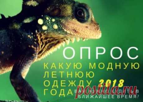 Привет всем! 
Уважаемые участники группы Вконтакте магазинов женской одежды "glontti family" ! 

За окном июль, поэтому вопрос, что носить этим летом, для настоящих модниц остается самым актуальным. 

 На самом деле ответить на вопрос, что носить этим летом не так сложно. 
Но перед тем, как рассказать что носить летом 2018 года, отметим, что каждая женщина сама для себя должна решить, что носить и какая модная летняя одежда должна появиться среди ее обновок. В первую очере...