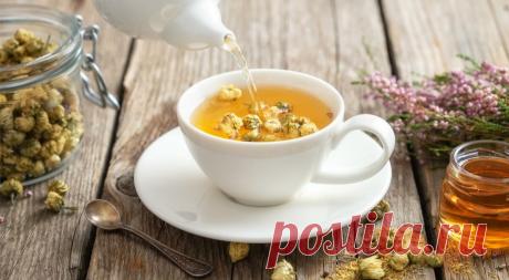 Пейте чаще: какой травяной чай советуют онкологи | РЕЦЕПТЫ ГАСТРОНОМ | Дзен