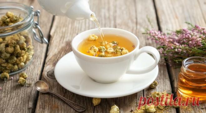 Пейте чаще: какой травяной чай советуют онкологи | РЕЦЕПТЫ ГАСТРОНОМ | Дзен