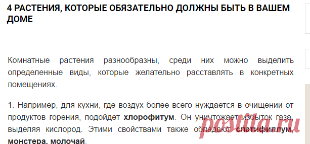 4 растения, которые обязательно должны быть в вашем доме