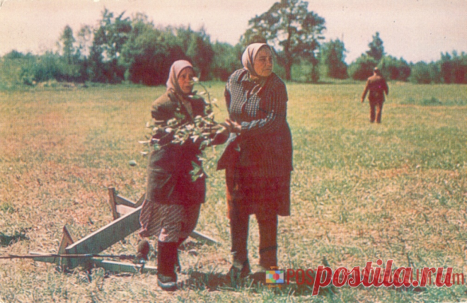 1977. Вдовы - кадр из фильма - о1905 | POSTCARDSMUSEUM.com