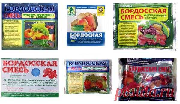 Бордоская смесь и правила её приготовления / бордоская смесь / 7dach.ru