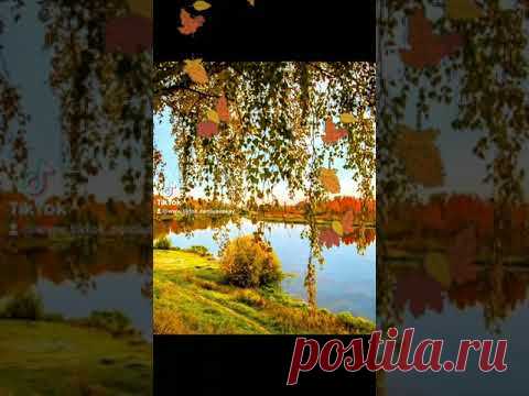 ДОБРОГО ВСЕМ ДНЯ ! И если Вы влюбились в осень ... , то это было в октябре ... #доброговсемдня