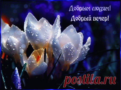 Открытки анимация Добрый вечер | Открытки анимация