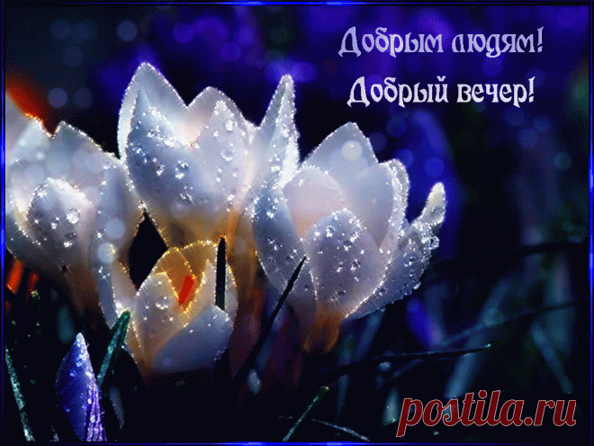 Открытки анимация Добрый вечер | Открытки анимация