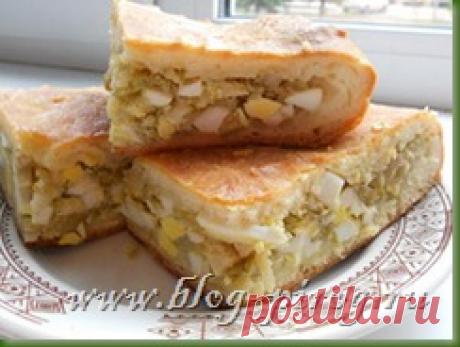 Новые рецепты начинок для пирогов | блог ПИРОГ