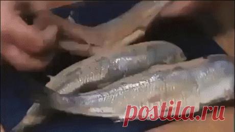 (54) Одноклассники