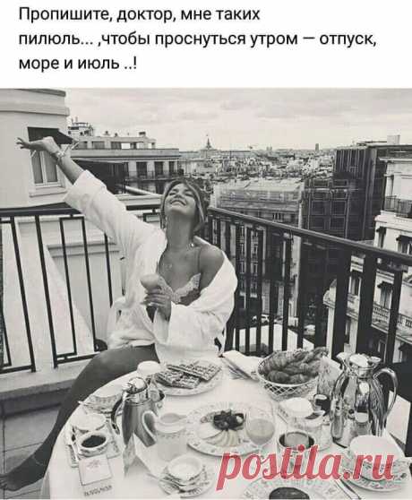 Консервировать по-французски. // DiDinfo | Яндекс Дзен
