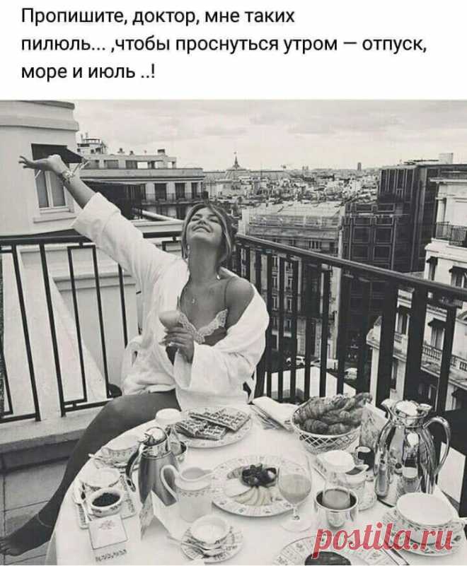 Консервировать по-французски. // DiDinfo | Яндекс Дзен