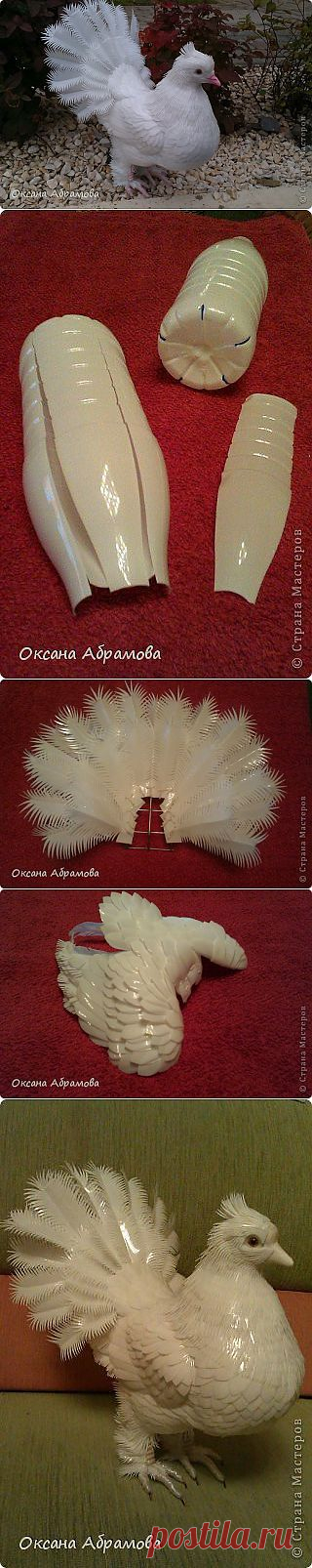 (133) Pinterest