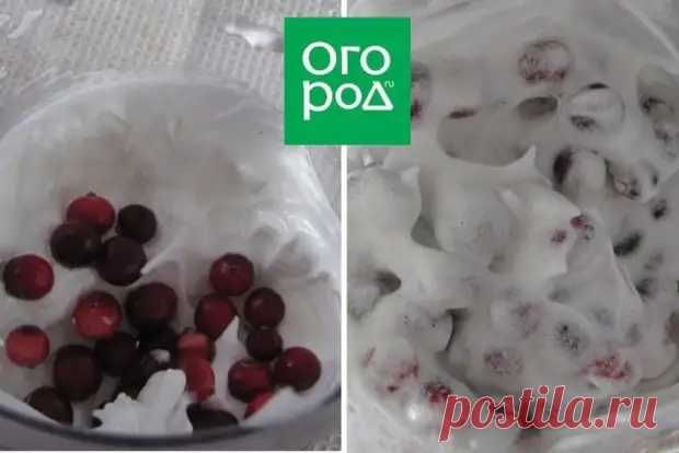 Как приготовить клюкву в сахаре – мастер-класс по 3 рецептам - Будет вкусно - Медиаплатформа МирТесен