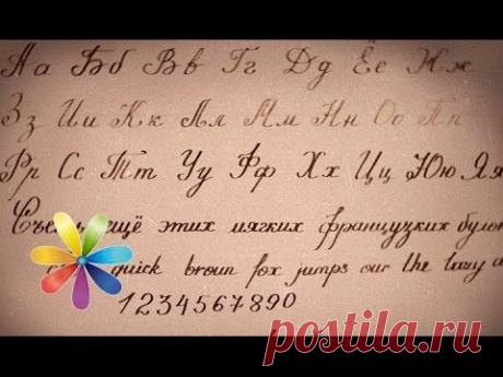 Ребенок станет отличником, если будет красиво писать - Все буде добре - Выпуск 504 -Все будет хорошо - YouTube