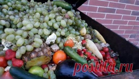 Сколько продуктов питания выбрасывают люди? Что вы делаете по пути домой с работы? Скорее всего, многие из нас обязательно заходят в магазин и покупают еду на ближайшие пару дней. Из-за голода в