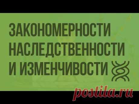 Закономерности наследственности и изменчивости - YouTube