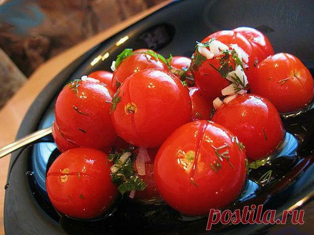 Малосольные помидоры — 8 рецептов быстрого приготовления