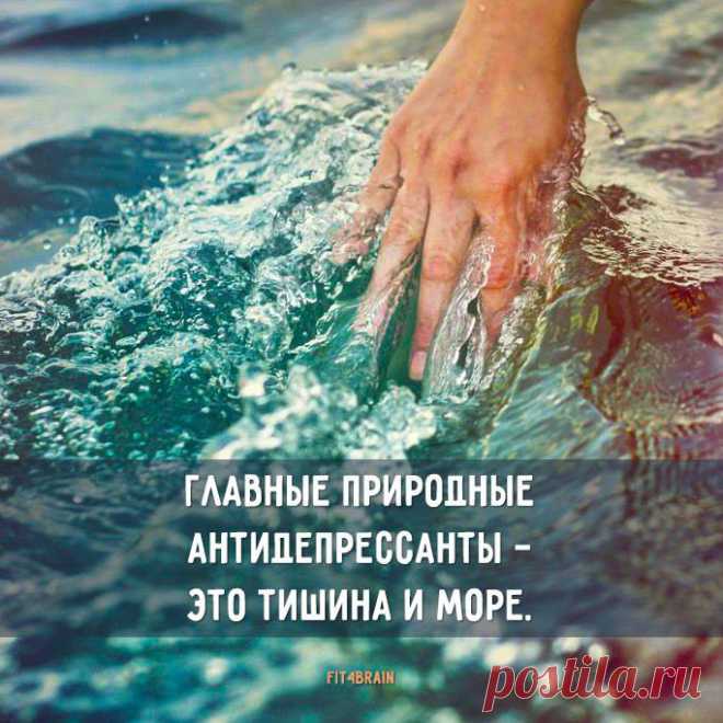 (49) Фитнес для мозга - Публикации