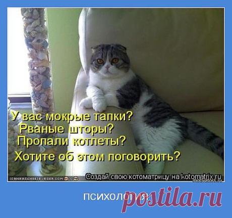 (2) Одноклассники