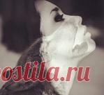 Фунчоза с грибами и овощами