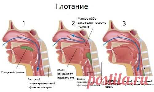 Первая помощь если что-то застряло в горле — прием Геймлиха
