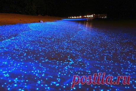 прибрежная красота