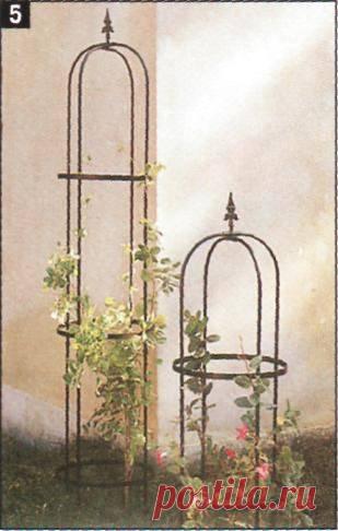 красивые опоры для плетистых роз - Поиск в Google